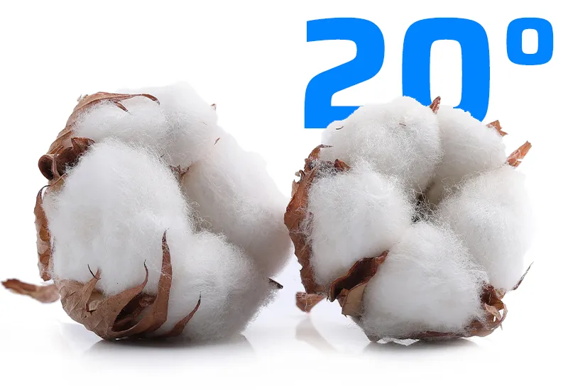 Cotton 20°