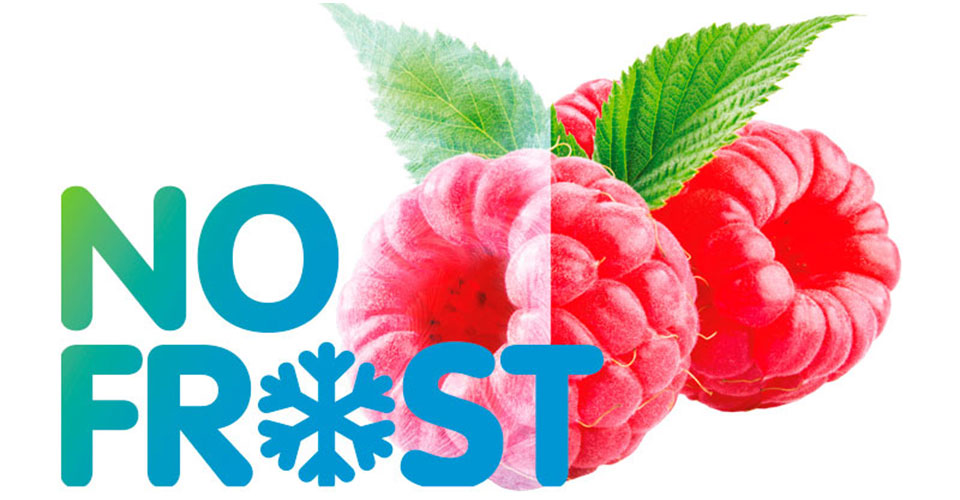 No frost