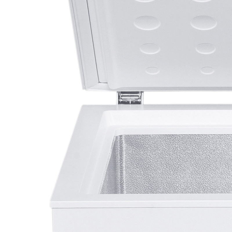 Chest Freezer BE1-100RLE 
